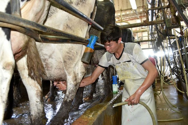 Los costos subieron. Las vacas comen en dólares y producen en pesos