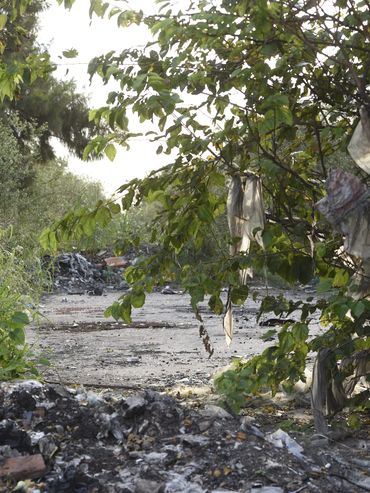 Quieren usar IA y cámaras para multar a quienes tiren basura ilegalmente