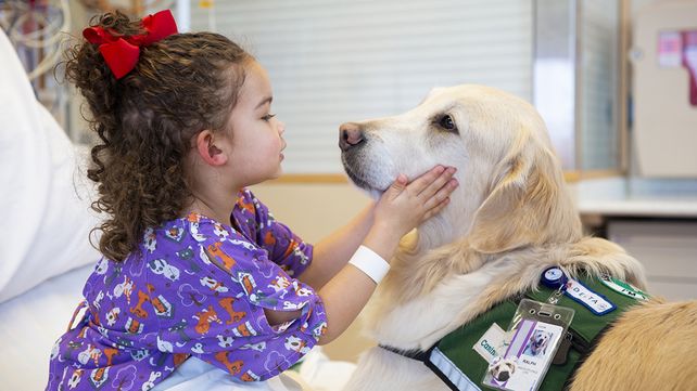 Los niños y niñas que tengan internaciones prolongadas o frecuentes podrán pedir estar con su mascota