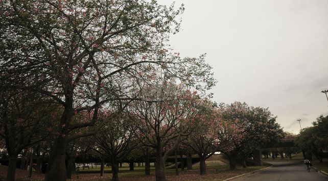 clima Ok