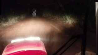 La foto de un alma en penamantuvo en vilo a una localidad santafesina
