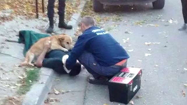 Tony, el perro que abrazó a su dueño tras un accidente