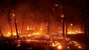El incendio en Carcastillo, en el norte de España.