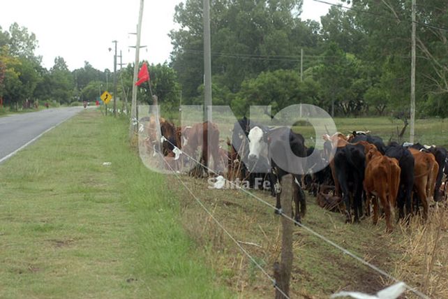 Se decretó alerta vial por la emergencia hídrica en la provincia
