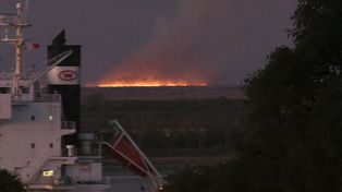 Destacan la decisión de la Corte en defensa del Delta del Paraná