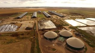 El Establecimiento Carmen, de Adecoagro, en Christophersen, Santa Fe.