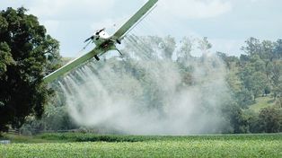 Otra vez intentarán limitar el uso de los agroquímicos en plantaciones de la provincia