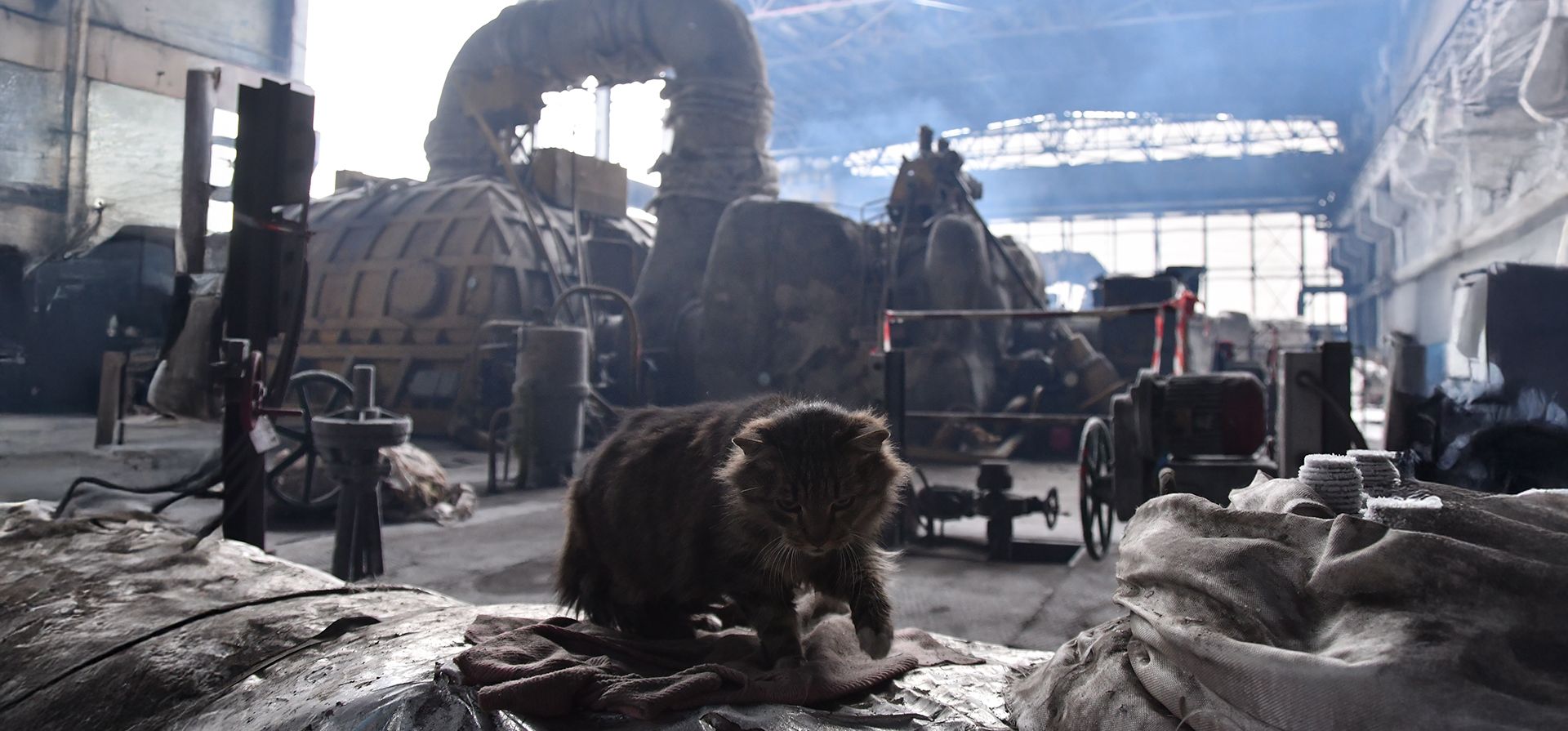 La central eléctrica destruida de la compañía DTEK se ve tras un reciente ataque con misiles rusos contra el sistema energético del país en un lugar no revelado de Ucrania, el viernes 23 de enero de 2026. (Foto AP/Mykola Tys) La central eléctrica destruida de la compañía DTEK se ve tras un reciente ataque con misiles rusos contra el sistema energético del país en un lugar no revelado de Ucrania, el viernes 23 de enero de 2026. (Foto AP/Mykola Tys)