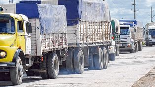 La previsión de buena cosecha agilizará la actividad en puertos