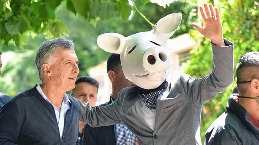 El hombre cabeza de chancho, protagonista de las elecciones
