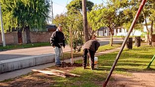 Trabajos de fumigación