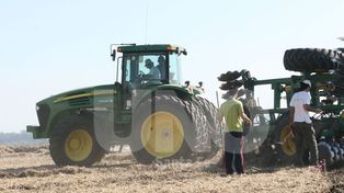 Se reanudó la cosecha de soja y avanza el cultivo de maíz en Santa Fe