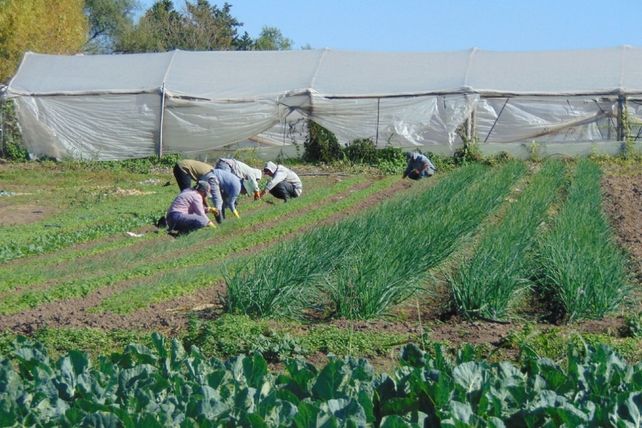 Cambios para el Parque Hortícola. La ordenanza actual rige desde 1993. Hay en análisis un nuevo marco en el Concejo Deliberante.