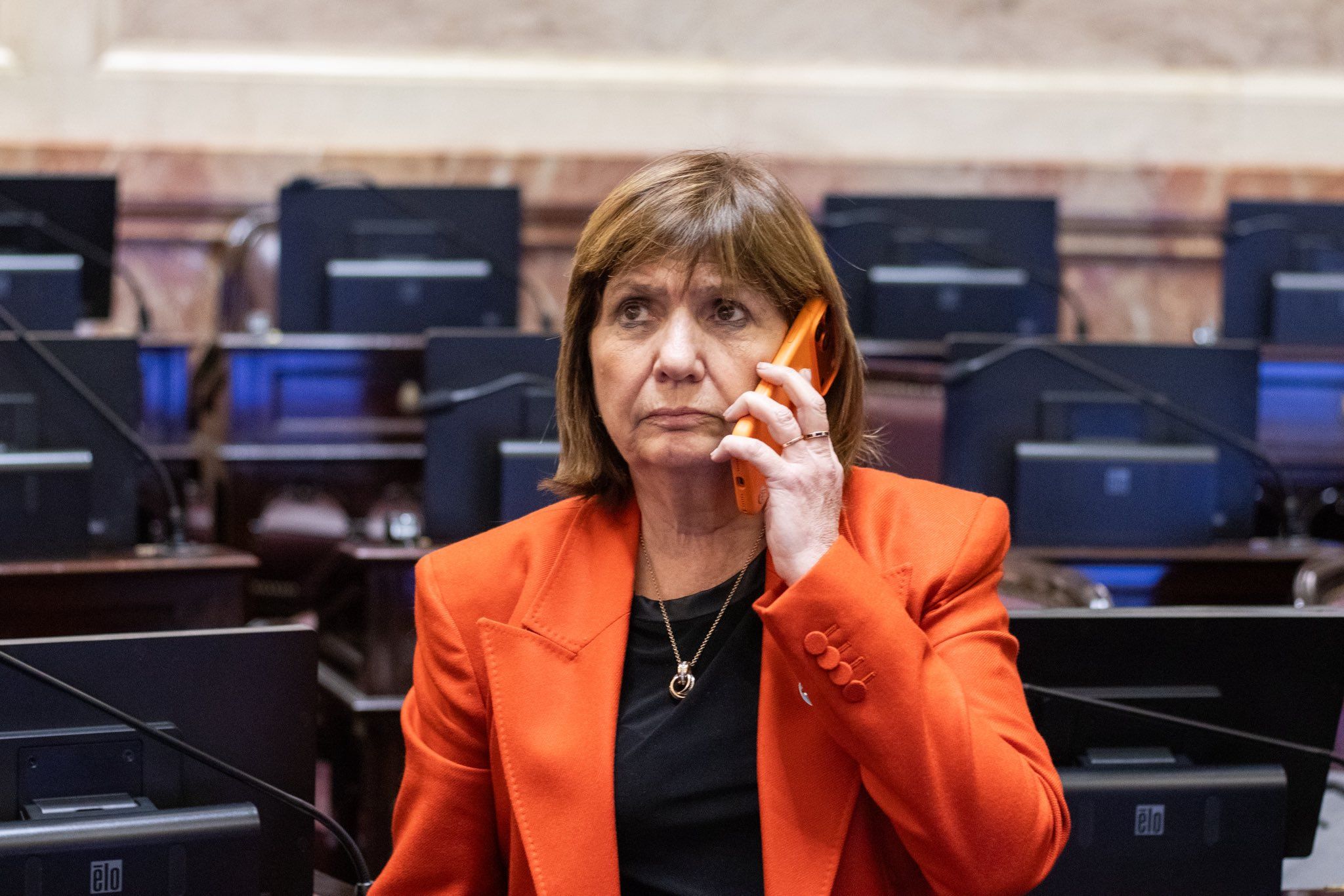 La Capital | Bullrich: la ley de propiedad privada llegó al Senado un poco endiablada