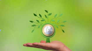 ¿Se puede invertir con poco dinero?