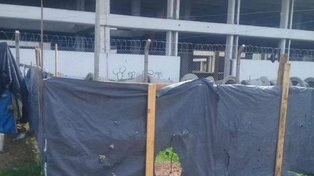 Las fotos que acompañan la denuncia y el pedido de informes del concejal