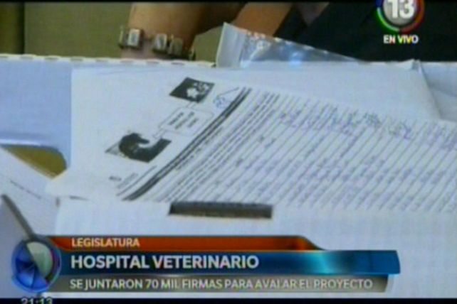 Apoyo al proyecto del hospital veterinario