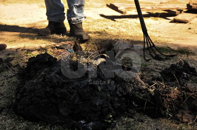 Fundamental. Los desagües cloacales hacen a la calidad de vida de todos los ciudadanos