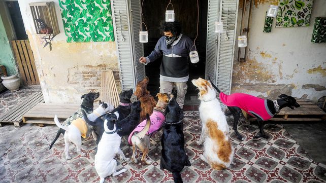 Jóvenes y mascotas: una relación que se afianza y hasta cambia el mercado