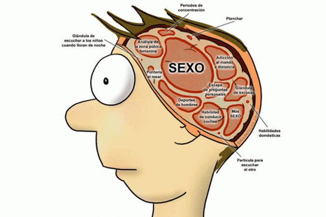 Atenti: diez claves para entender el funcionamiento del cerebro masculino