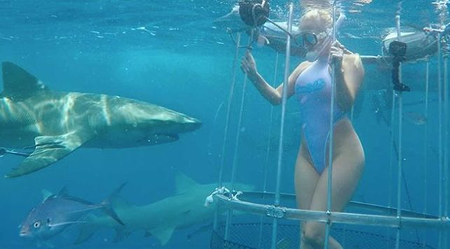 La actriz porno fue mordida por un tiburón durante un rodaje erótico bajo el agua.