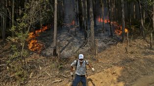 Chile monta un operativo internacional para combatir los incendios