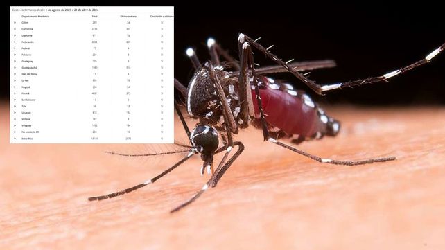 De los 2.072 nuevos casos de dengue