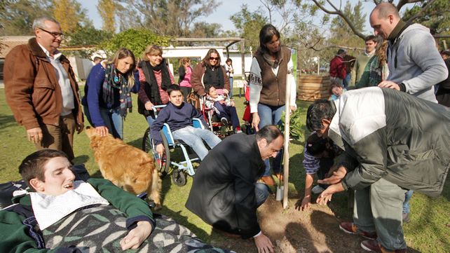 Programa de Reconstrucción: Árboles frutales perfuman el patio de Un Mundo Especial