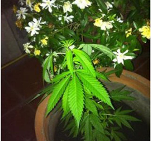 Regalo de su madre y de un amigo