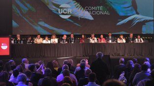 Los convencionales de la UCR aprobaron continuar en la alianza con el PRO