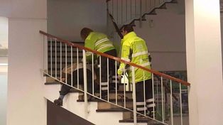 Un jubilado se mató de un tiro en la cabeza en la Ansés de Mar del Plata