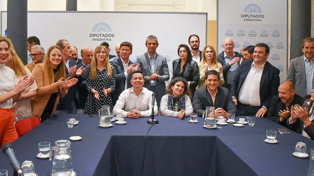 Cámara de Diputados: Gabriel Bornoroni reemplaza a Oscar Zago en el bloque de LLA