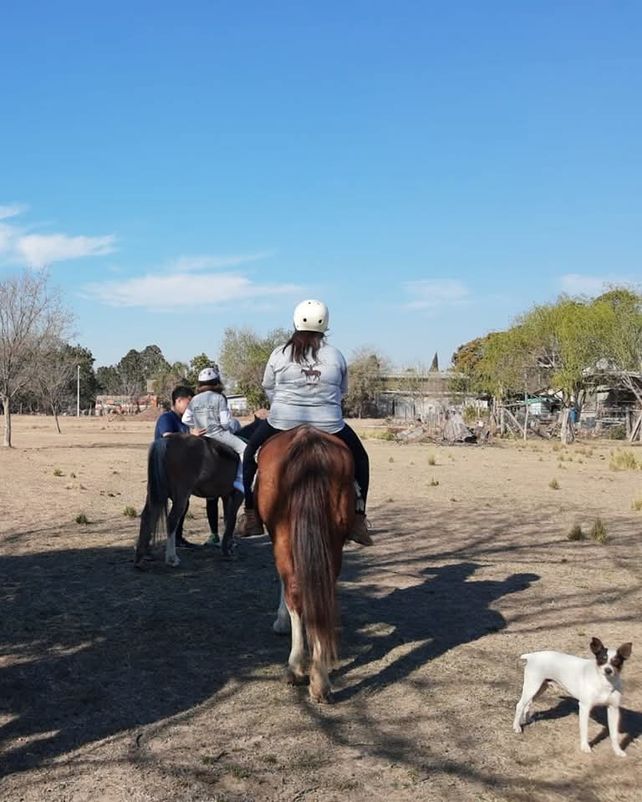 Roban cinco caballos y todas las herramientas de un centro de equinoterapia