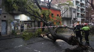 Aumentaron un 70% las denuncias por situaciones de riesgo en la vía pública