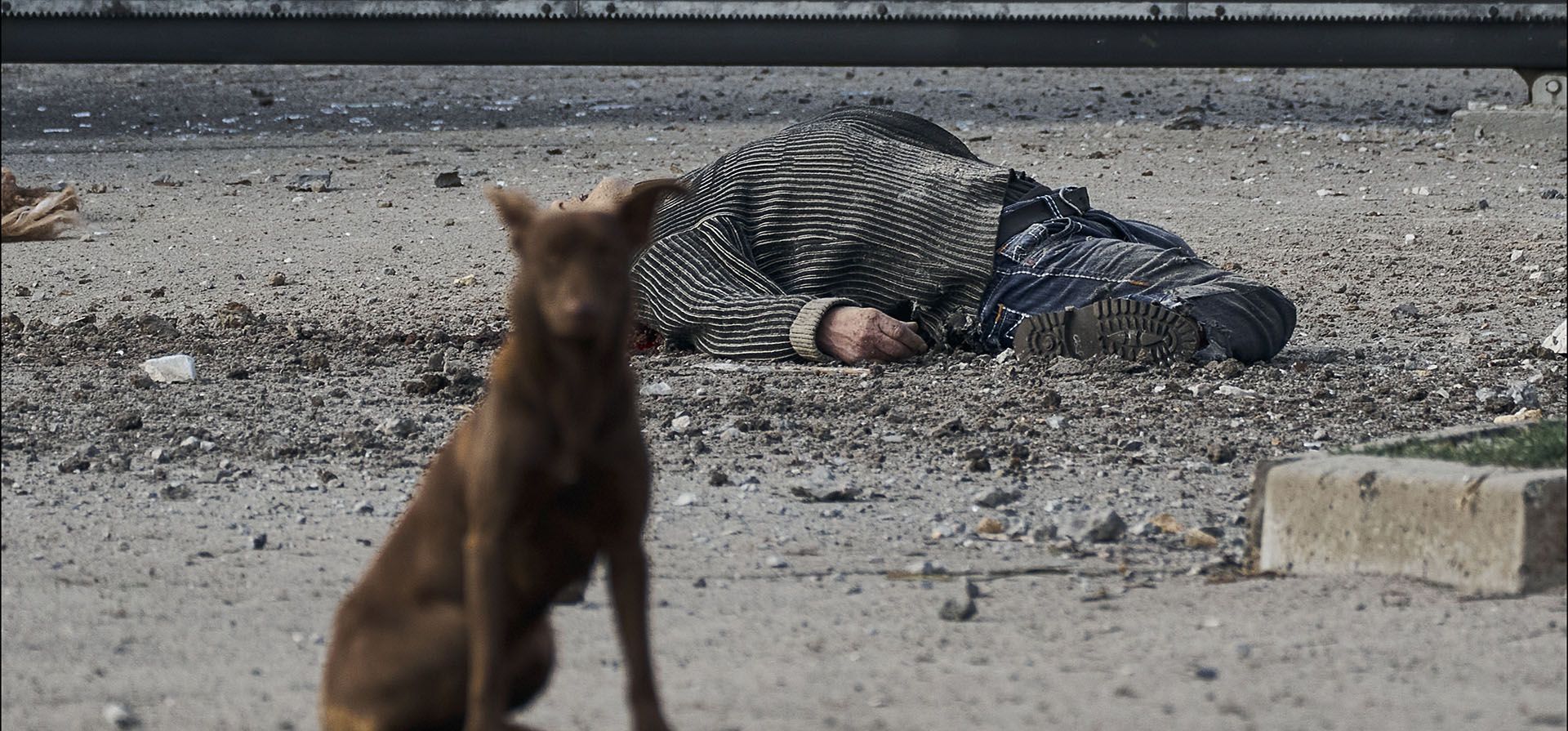 Un perro callejero se sienta cerca del cadáver de un ciudadano local, muerto en un bombardeo ruso que golpeó un área industrial en Kherson, Ucrania, el viernes 3 de febrero de 2023. (Foto AP / LIBKOS)