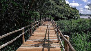 Semana Santa: Paraná suma paseos por el Islote Curupí y Bus Turístico