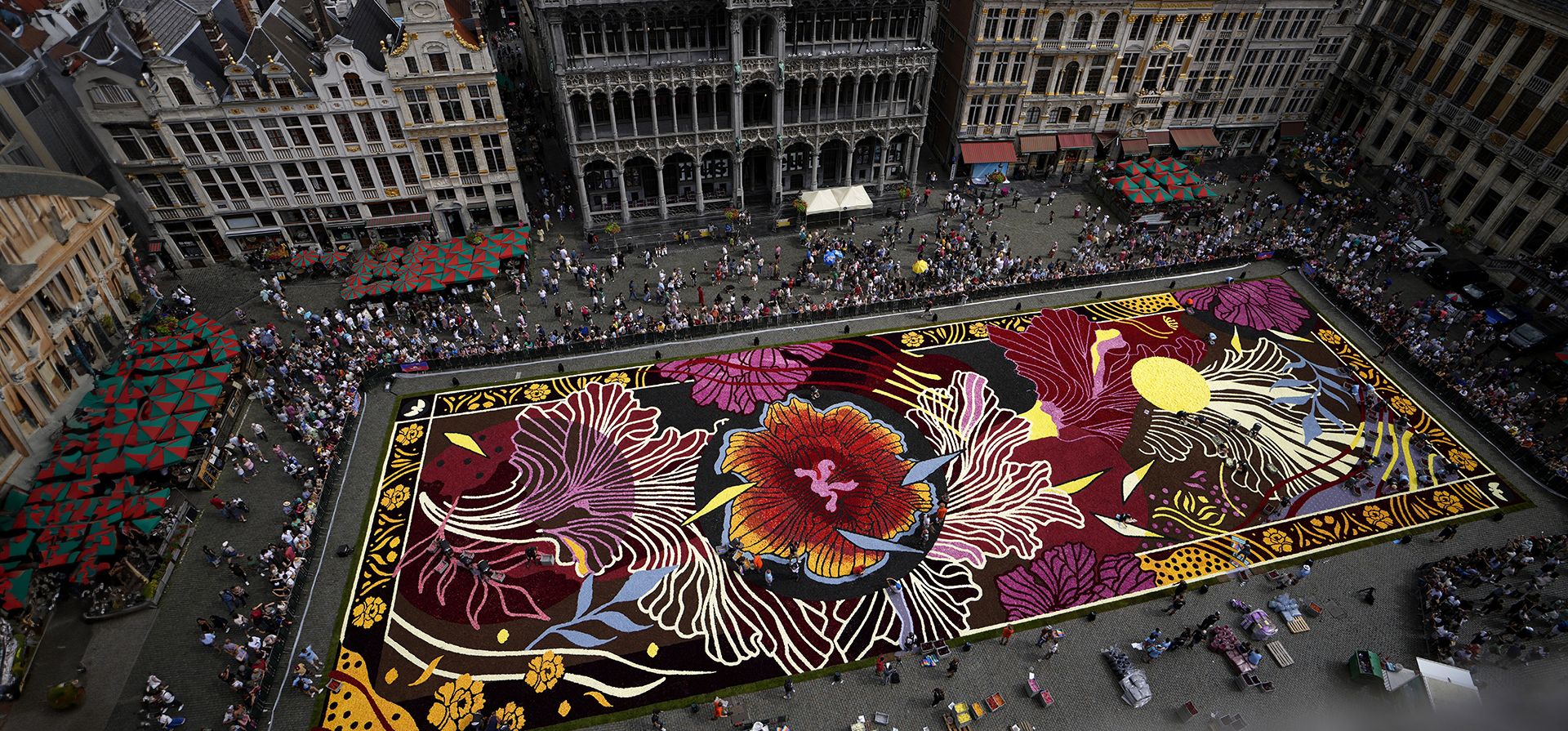 Voluntarios trabajan colocando begonias belgas en una alfombra de flores gigante con temática Art Nouveau en la histórica Grand Place de Bruselas, el jueves 15 de agosto de 2024. (Foto AP/Virginia Mayo) Voluntarios trabajan colocando begonias belgas en una alfombra de flores gigante con temática Art Nouveau en la histórica Grand Place de Bruselas, el jueves 15 de agosto de 2024. (Foto AP/Virginia Mayo)