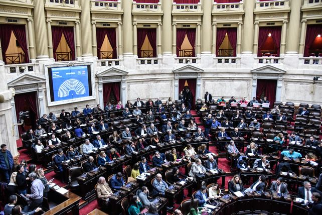 La Cámara de Diputados convocó para el próximo miércoles a una sesión especial en la que se discutirán varios de los vetos del presidente Javier Milei.