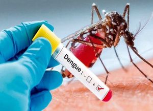 Hay 8 mil casos de dengue en el país y más de 500 de chikungunya