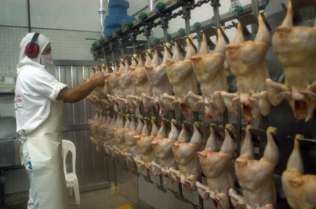Entre Ríos reabre las exportaciones de carne aviar a Vietnam