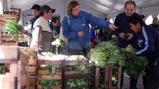 Desde hoy La Verdecita ofrecerá sus productos en Bº Centenario