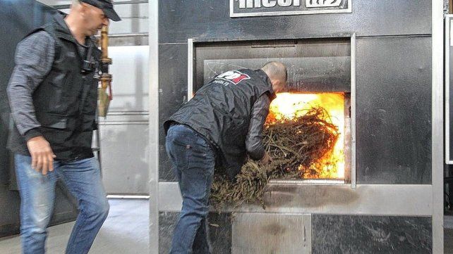 Quemaron más de 40 kilos de marihuana y cocaína en el Cementerio Municipal de Santa Fe