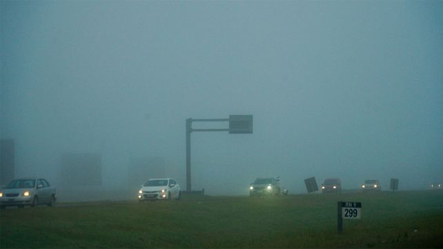 Cómo manejar cuando hay neblina en la ruta: algunos consejos que pueden salvar tu vida