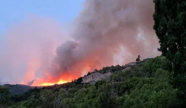 Los incendios forestales en el Parque Los Alerces se inició en enero y aún continúa activo.&nbsp;