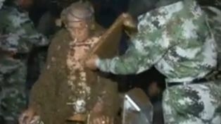 Soportó más de un millón de abejas para batir un récord mundial