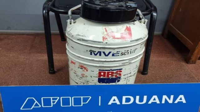 La Aduana evitó el contrabando de semen de toro valuado en medio millón de dólares
