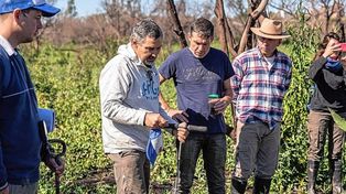 Equipo de la Uader releva la vegetación de la Isla Puente luego de los incendios