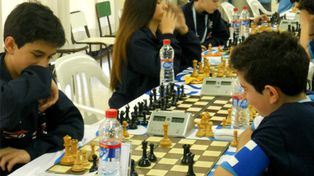 El equipo de ajedrez santafesino obtuvo la medalla de oro en los Juegos Evita 2013
