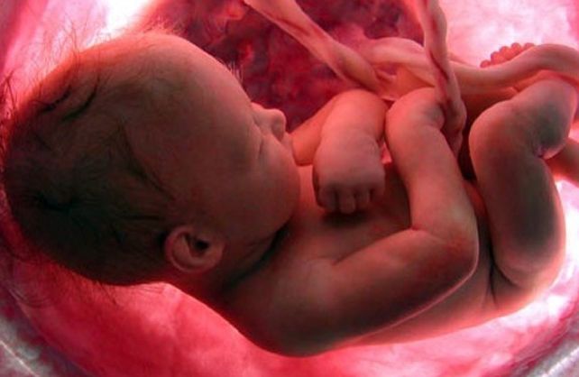 Los referentes de la medicina fetal se reúnen esta semana en Rosario