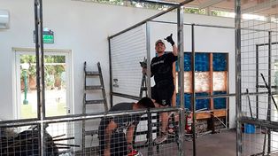 Javier Milei publicó fotos en las que se ven los caniles reforzados donde se ubicarán los clones de Conan en la Quinta de Olivos y recibió muchas críticas